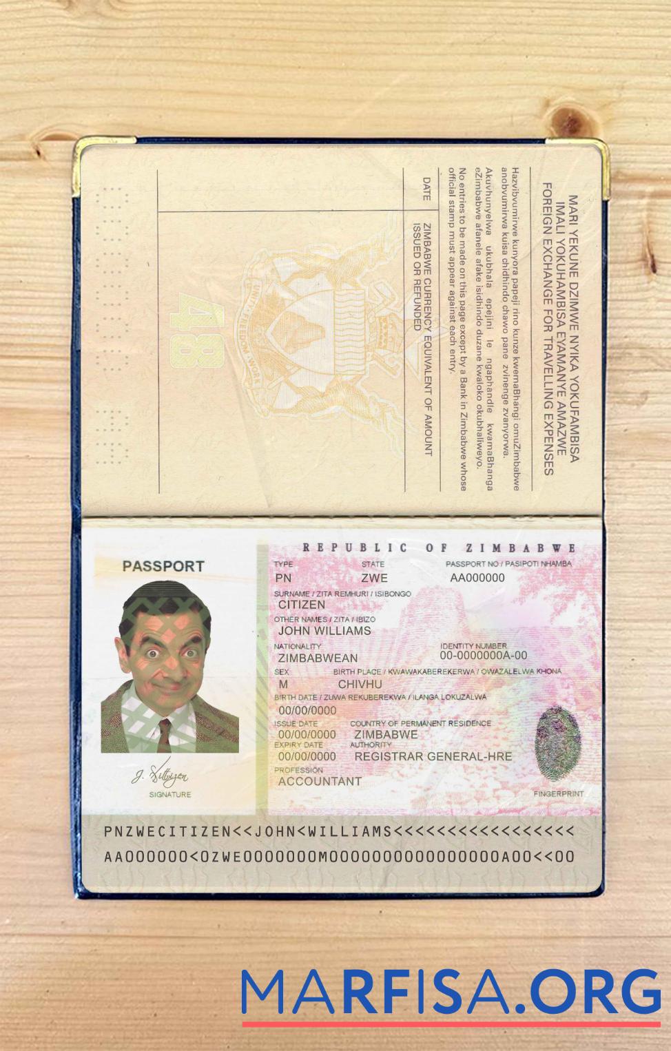 Printable Zimbabwe passport photo look template
